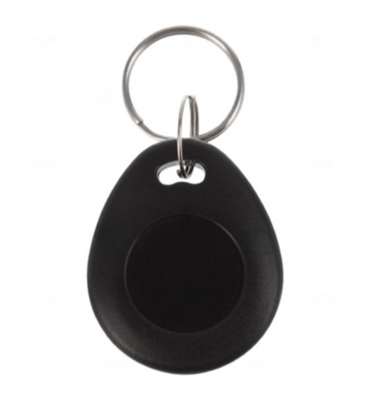 AT-ID-K2/EMR Ключ RF(RFID брелок EM-Marin)  Фото