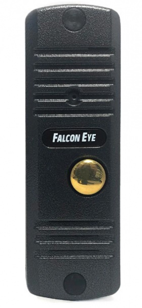 FE-305C (графит) Вызывная панель, накладная Фото