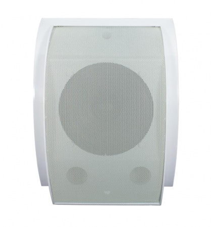 TSo-SW10D Громкоговоритель настенный Фото