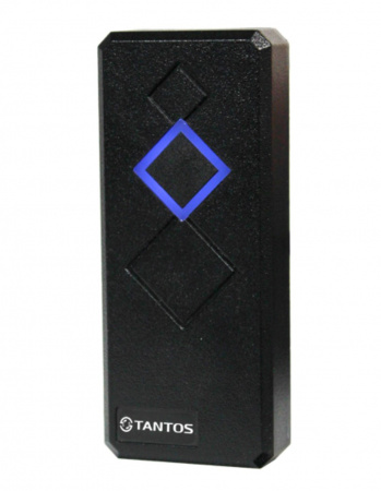 Считыватель TS-RDR-MF Black (Indoor) Фото