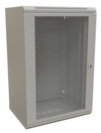 WR-TW-2245-SD-RAL7035 Шкаф настенный 19-дюймовый (19