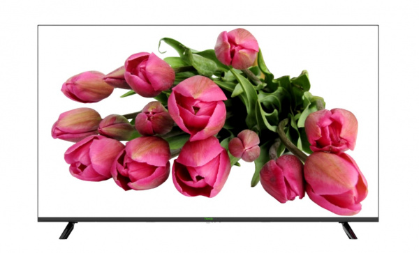 TC-D355 Spec:MON/4K/P/V2.0 LED монитор 55